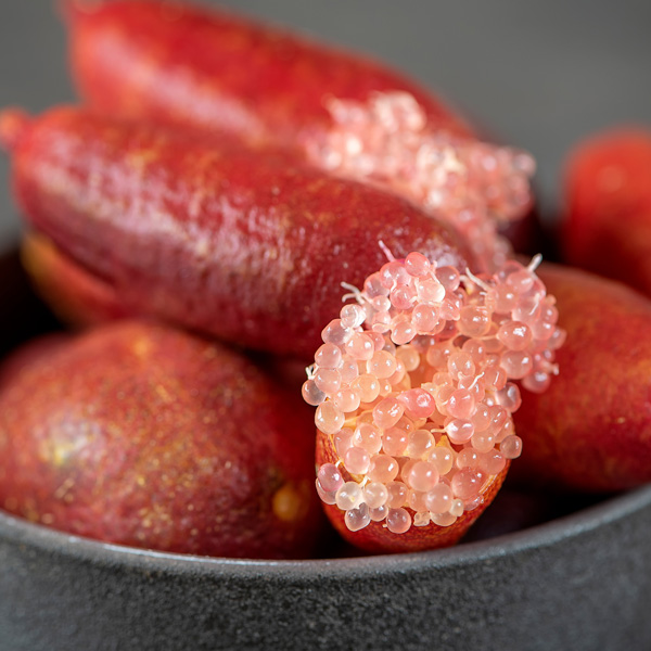 Finger Lime