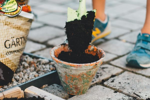 pexels-markusspiske-2013782